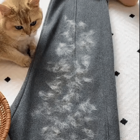 🐾 PawPal™ Pet Cleaning Glove - Brinoa🐾 PawPal™ Pet Cleaning Glove🐾 PawPal™ Pet Cleaning Glove