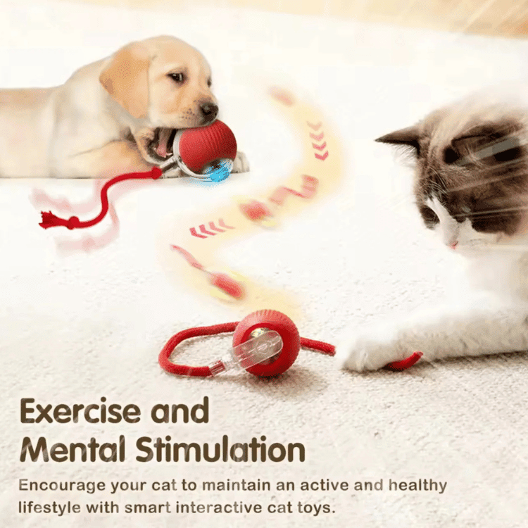 PawSpin™ Smart Interactive Rolling Ball for Cats & Dogs - BrinoaPawSpin™ Smart Interactive Rolling Ball for Cats & DogsPawSpin™ Smart Interactive Rolling Ball for Cats & Dogs